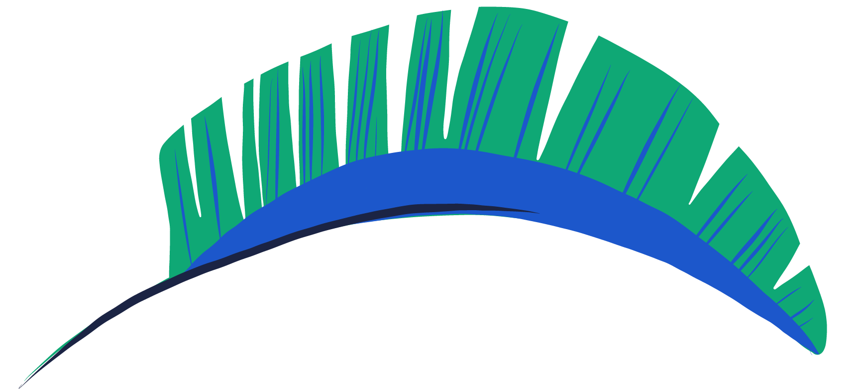Decorativo IZQ 12